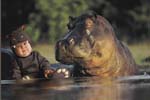 TA236HippoCD70
