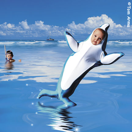 TA241DolphinCD73 copy