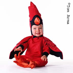 TA151CardinalCD27