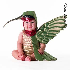 TA152HummingbirdCD27