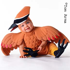 TA154CedarWaxwingCD27
