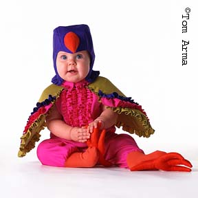 TA161PaintedBuntingCD29