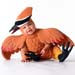 TA154CedarWaxwingCD27
