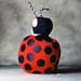 TA77LadybugBackCD13