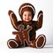 TA120GingerbreadmanCD21