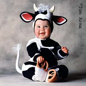TA65CowCD11