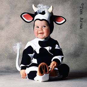 TA66CowCD11