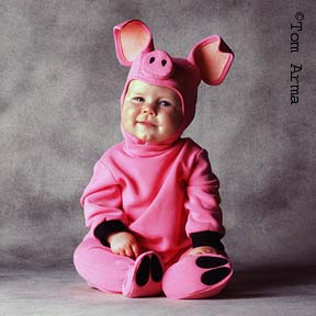 TA72PigCD12
