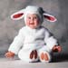 TA67SheepCD12