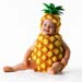 TA141PineappleCD25