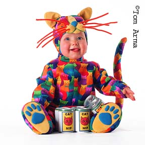 TA106MixedbreedCD19