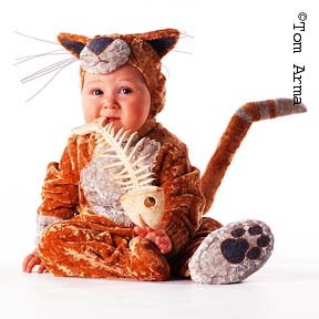 TA99AlleycatCD18
