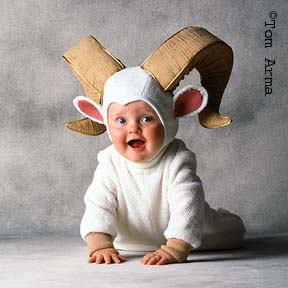 TA39BigHornedSheepCD7