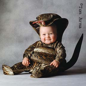 TA41SnakeCD7