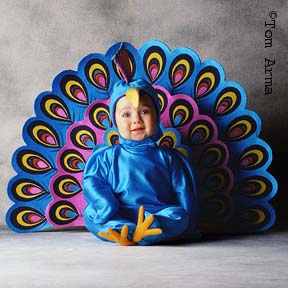 TA45PeacockCD8