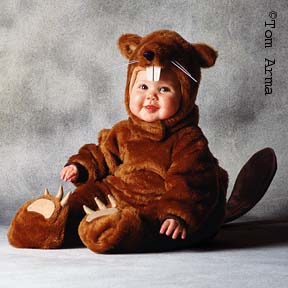 TA54BeaverCD9