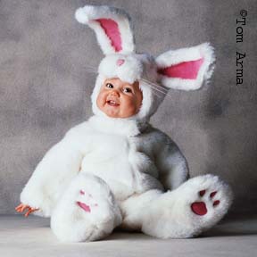 TA56RabbitCD10