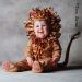 TA4LionCD1