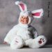 TA56RabbitCD10