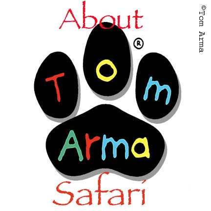 AboutSafari