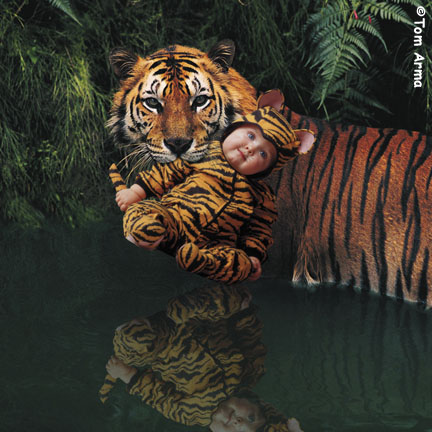 TA215TigerSQCD54