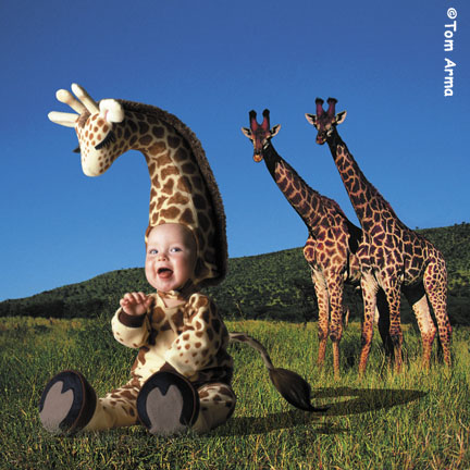 TA219GiraffeSQCD57