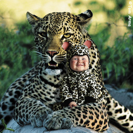 TA220LeopardSQCD57