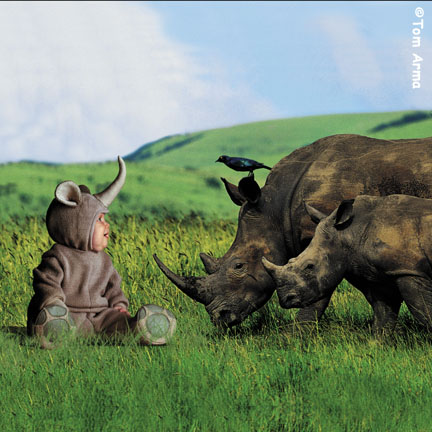 TA223RhinoSQCD60