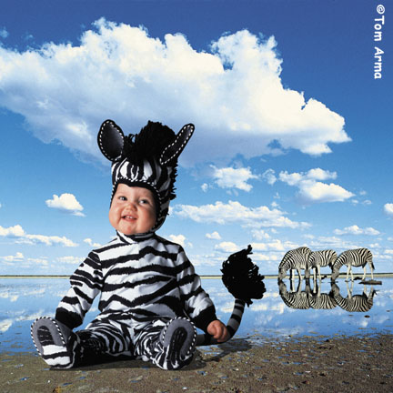 TA226ZebraSQCD63