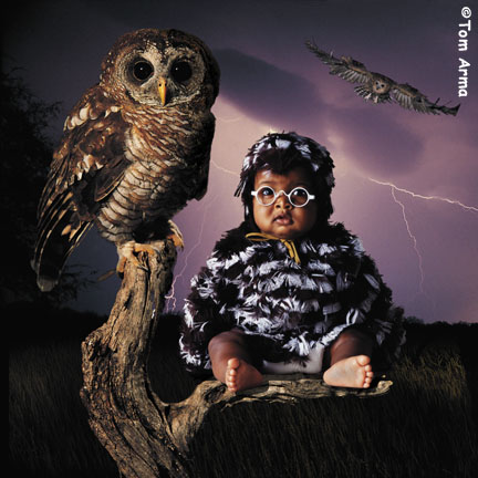 TA232OwlSQCD66