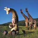 TA219GiraffeSQCD57