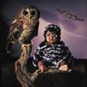 TA232OwlSQCD66