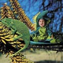 TA235ChameleonSQCD68