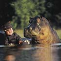 Ta237HippoSQCD71