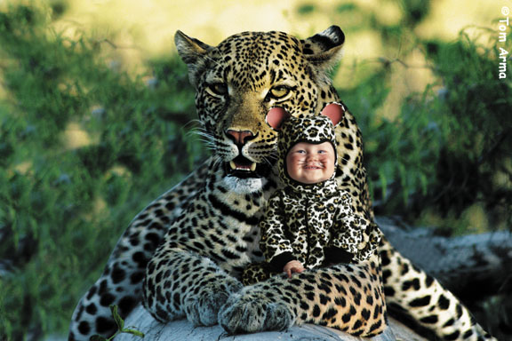 TA218LeopardCD56 