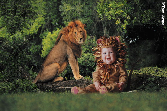 TA233LionCD67