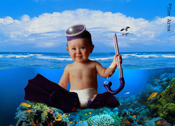 Diver