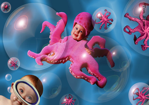 Octopus