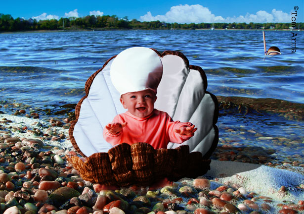 Scallop
