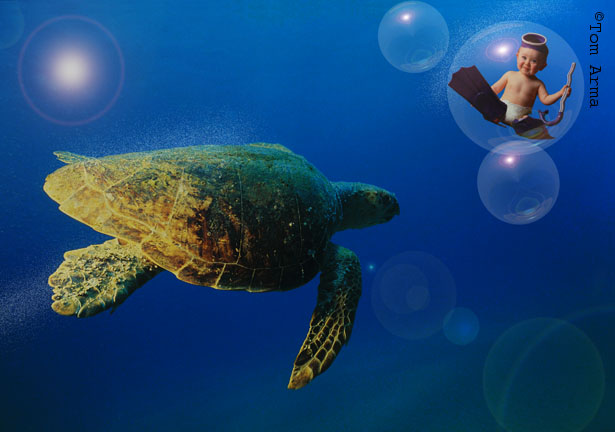 Turtlebubble