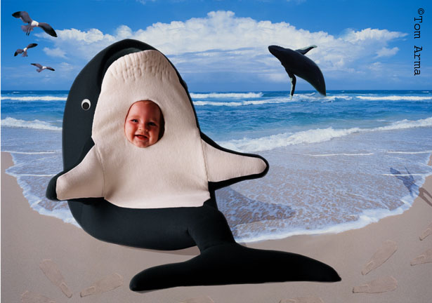 Whale