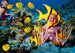 Angelfish