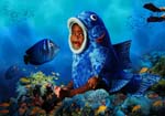 Bluefish