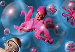 Octopus