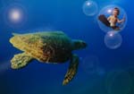 Turtlebubble
