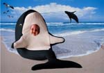 Whale