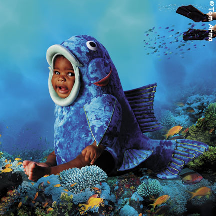 TA239BluefishSQCD72