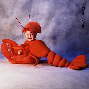 TA86LobsterCD16