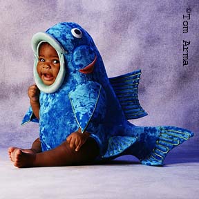 TA91BluefishCD16
