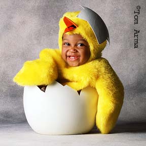 TA62ChickCD11